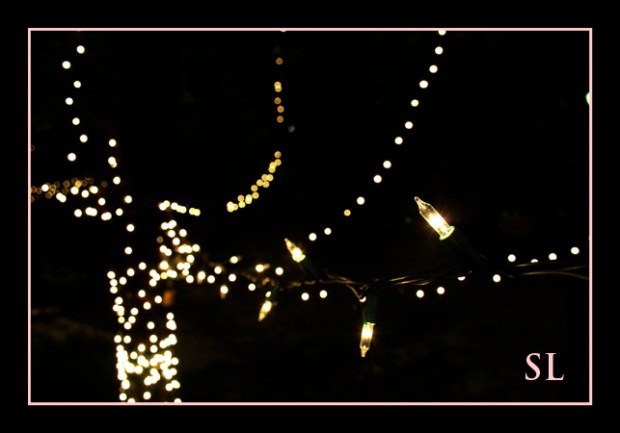 Christmas Lights Downtown