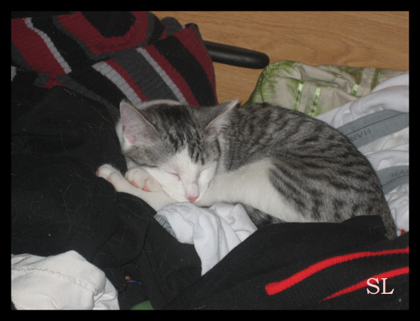 flick on the laundry