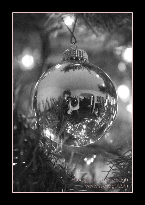 ornament-reflection.jpg