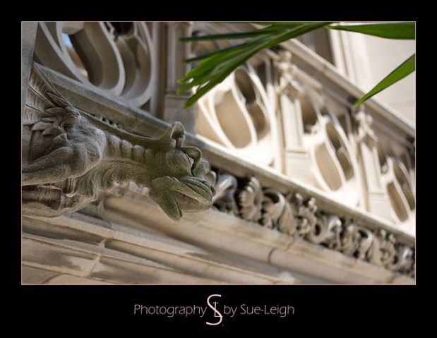 biltmoregargoyle.jpg