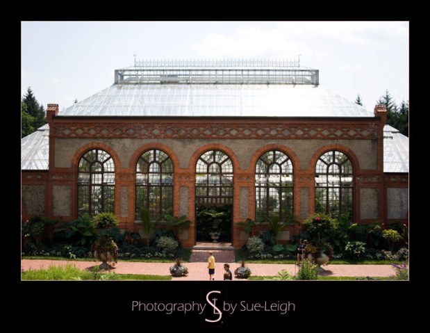 biltmoregreenhouse.jpg