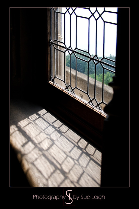 biltmorewindow.jpg