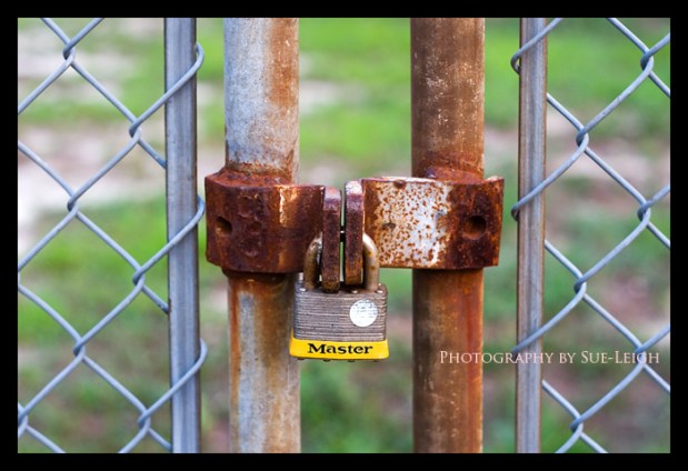 master-lock.jpg