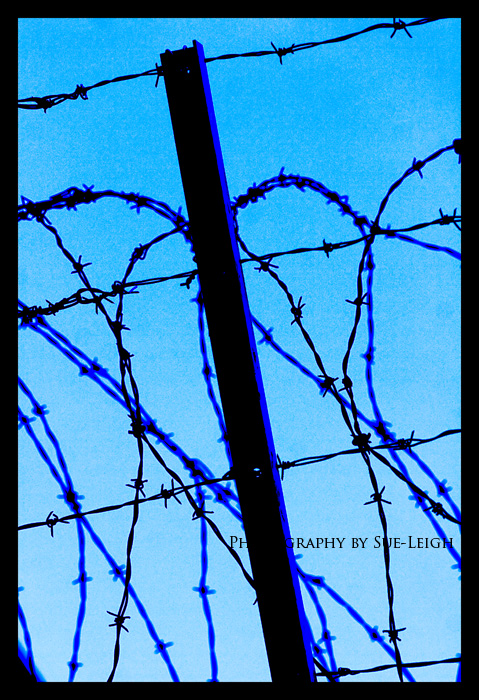 barbed-wire.jpg