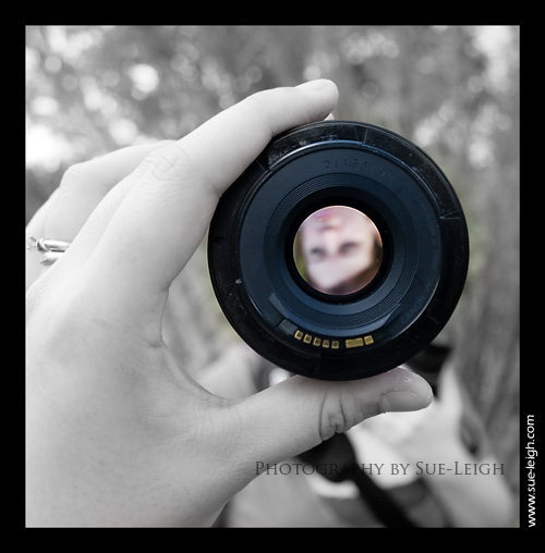 thru-the-lens.jpg
